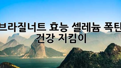 브라질너트 효능✨ 셀레늄 폭탄💣 건강 지킴이💪