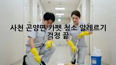 사천 곤양면 카펫 청소: 알레르기 걱정 끝!