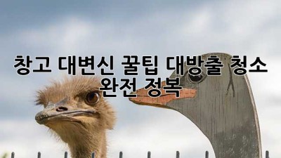 창고 대변신✨ 꿀팁 대방출! 청소 완전 정복🧹